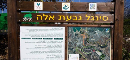 סינגל גבעת אלה.  צילום: רונן גולן