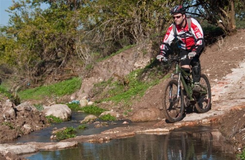 סינגל שמשית.  צילום: אילן שחם, ארכיון הצילומים של קק"ל
