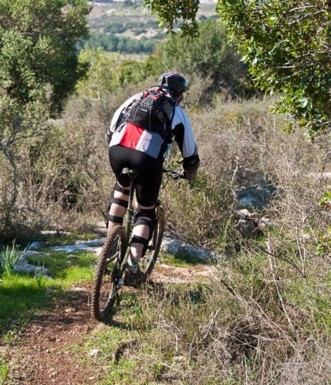 סינגל שמשית.  צילום: אילן שחם