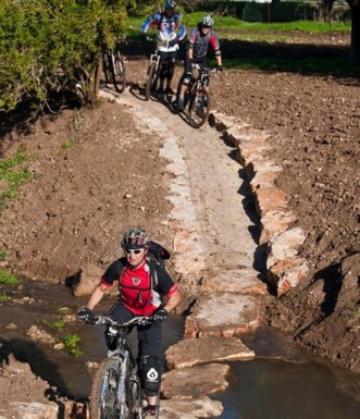 סינגל שמשית.  צילום: אילן שחם, ארכיון הצילומים של קק"ל