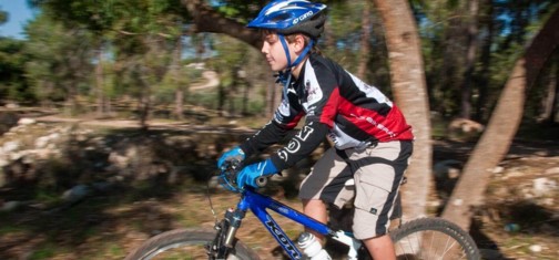 סינגל שמשית.  צילום: אילן שחם, ארכיון הצילומים של קק"ל