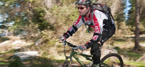 סינגל שמשית.   צילום: אילן שחם, ארכיון הצילומים של קק"ל