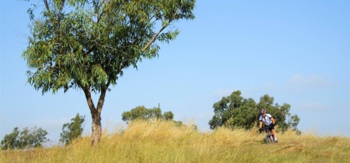 חובבי המהירות יוכלו ליהנות פה מאד.  צילום: אילן שחם, ארכיון הצילומים של קק"ל