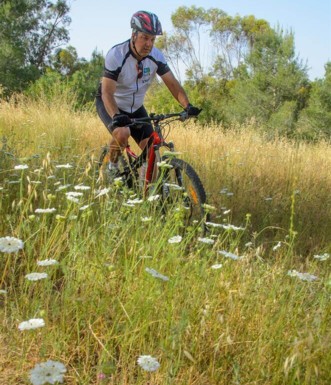 מתחילים לראות את הפריחה בסינגל ניר משה.  צילום: אילן שחם, ארכיון הצילומים של קק"ל