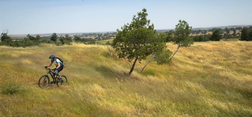 השביל בניר משה יקח אתכם לבילוי בלב ה"דרום האדום".  צילום: אילן שחם, ארכיון הצילומים של קק"ל