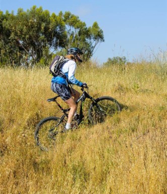 פה ושם גם מטפסים (קצת..).  צילום: אילן שחם, ארכיון הצילומים של קק"ל