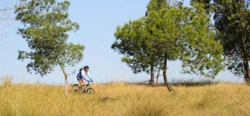 נופים פתוחים ומרחיבי דעת בסינגל ניר משה.  צילום: אילן שחם, ארכיון הצילומים של קק"ל