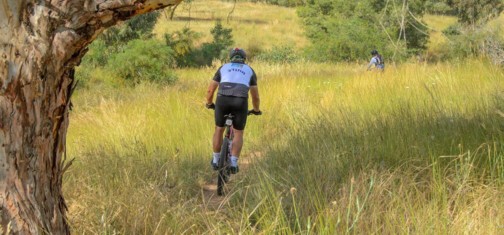 סינגל ניר משה מרגיש כאילו כולו בירידה...  צילום: אילן שחם, ארכיון הצילומים של קק"ל