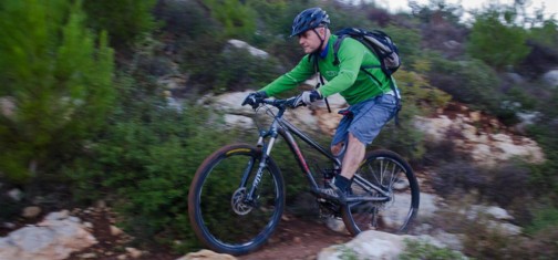 סינגל עין רפה. צילום: אילן שחם, ארכיון הצילומים של קק"ל