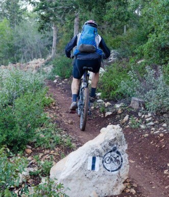 סינגל עין רפה. צילום: אילן שחם, ארכיון הצילומים של קק"ל