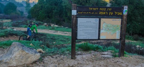 סינגל עין רפה. צילום: אילן שחם, ארכיון הצילומים של קק"ל