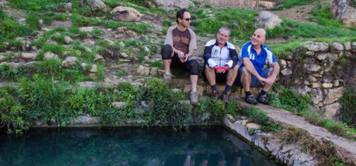 סינגל עין רפה. צילום: אילן שחם, ארכיון הצילומים של קק"ל