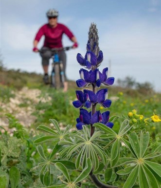 צילום: אילן שחם, ארכיון הצילומים של קק"ל