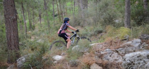 סינגל משגב. צילום: אילן שחם, ארכיון הצילומים של קק"ל