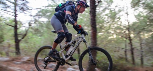 סינגל משגב. צילום: אילן שחם, ארכיון הצילומים של קק"ל