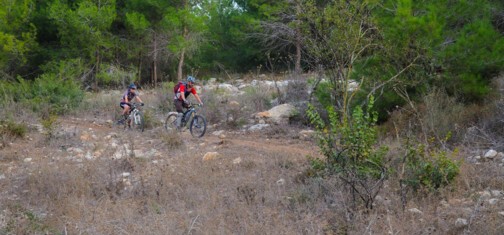 סינגל משגב. צילום: אילן שחם, ארכיון הצילומים של קק"ל