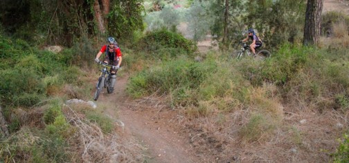 סינגל משגב. צילום: אילן שחם, ארכיון הצילומים של קק"ל