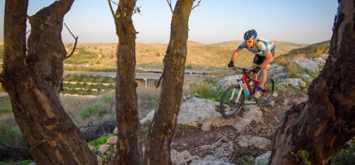 צילום: אילן שחם, ארכיון הצילומים של קק"ל