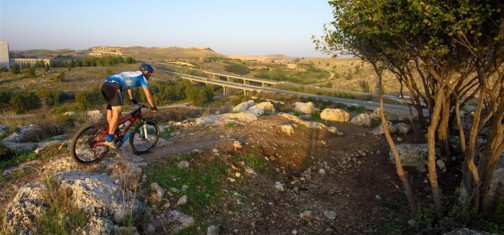 צילום: אילן שחם, ארכיון הצילומים של קק"ל