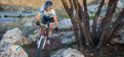 צילום: אילן שחם, ארכיון הצילומים של קק"ל