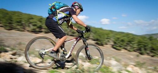 צילם: אילן שחם