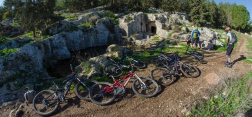 צילם: אילן שחם