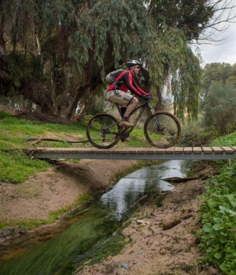 צילום: אילן שחם, ארכיון הצילומים של קק"ל