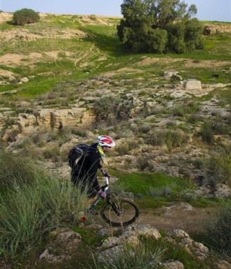 צילום: אילן שחם, ארכיון הצילומים של קק"ל