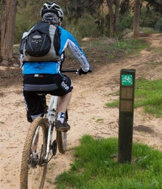 צילום: אילן שחם, ארכיון הצילומים של קק"ל