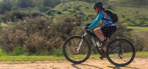 צילום: אילן שחם, ארכיון הצילומים של קק"ל