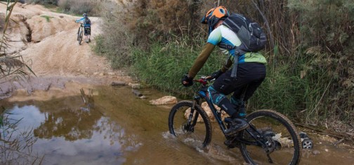 צילום: אילן שחם, ארכיון הצילומים של קק"ל