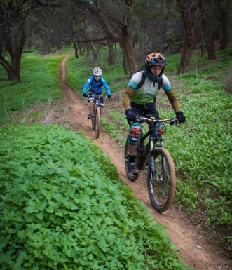צילום: אילן שחם, ארכיון הצילומים של קק"ל