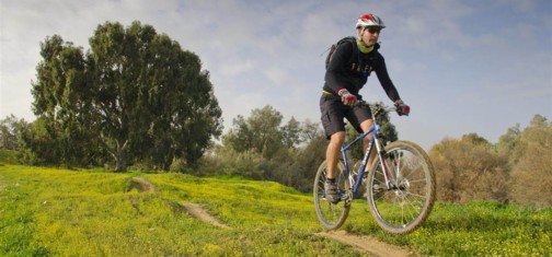 צילום: אילן שחם, ארכיון הצילומים של קק"ל