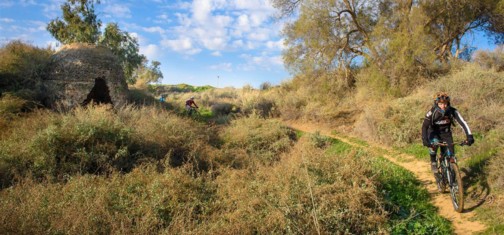 צילום: אילן שחם, ארכיון הצילומים של קק"ל