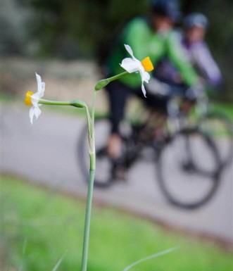 צילם: אילן שחם