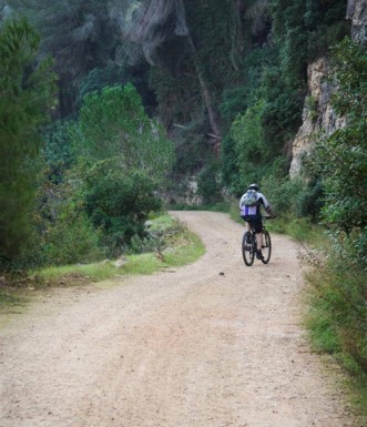 צילם: אילן שחם