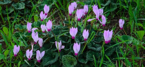 צילם: אילן שחם