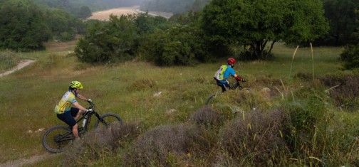 צילם: אילן שחם, ארכיון הצילומים של קק"ל