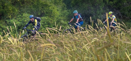 צילם: אילן שחם, ארכיון הצילומים של קק"ל