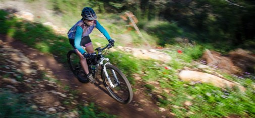 צילם: אילן שחם