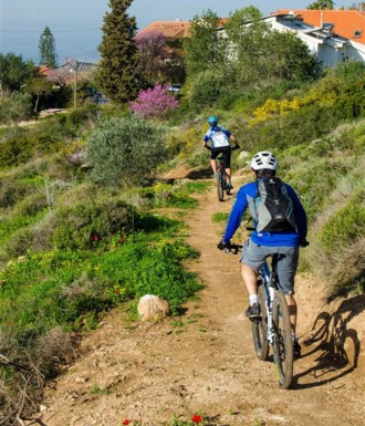 צילם: אילן שחם