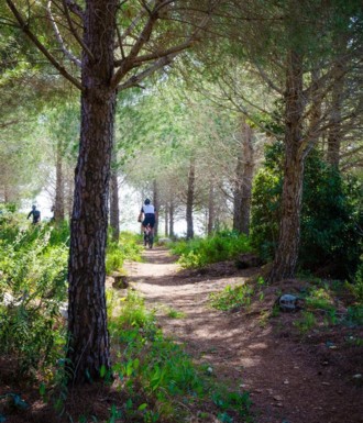 צילם: אילן שחם