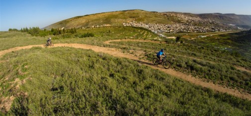 צילם: אילן שחם