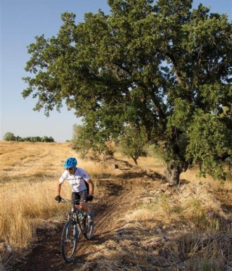 צילם: אילן שחם