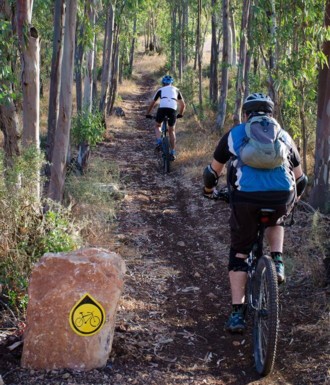 צילם: אילן שחם