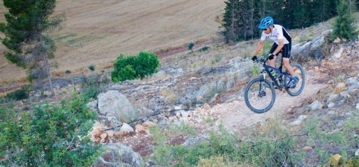 צילם: אילן שחם