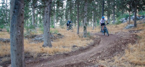 צילם: אילן שחם