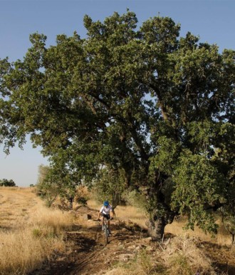 צילם: אילן שחם