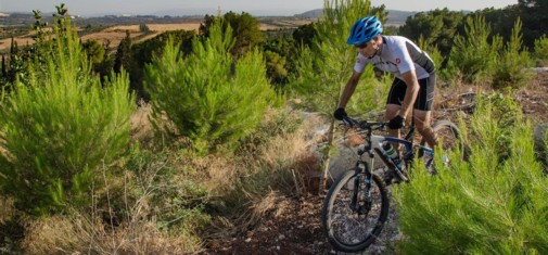 צילם: אילן שחם