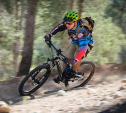 סינגל יער להב. צילום: אילן שחם